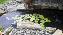 WATERWAYS, PONDS/BASINS